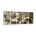 5-PIECE CANVAS PRINT POPPIES IN A FIELD IN SEPIA - BLACK AND WHITE PICTURES{% if product.category.pathNames[0] != product.category.name %} - PICTURES{% endif %}