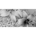 CANVAS PRINT LILY ON AN OLD DOCUMENT IN BLACK AND WHITE - BLACK AND WHITE PICTURES - PICTURES