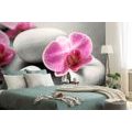 SELF ADHESIVE WALL MURAL ORCHID FLOWERS ON STONES - SELF-ADHESIVE WALLPAPERS - WALLPAPERS