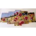 5-PIECE CANVAS PRINT PAINTED POPPIES IN A MEADOW - PICTURES OF NATURE AND LANDSCAPE - PICTURES