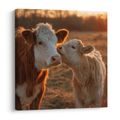 WANDBILD KÜHE IM ABENDLICHT - WANDBILDER BÜFFEL UND KÜHE - BILDER