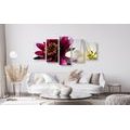 5-PIECE CANVAS PRINT FLOWERS IN A BOWL - PICTURES FLOWERS - PICTURES