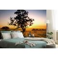 SELF ADHESIVE WALL MURAL TREE AT SUNSET - SELF-ADHESIVE WALLPAPERS - WALLPAPERS