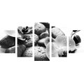 5-PIECE CANVAS PRINT BEAUTIFUL INTERPLAY OF STONES AND ORCHIDS IN BLACK AND WHITE - BLACK AND WHITE PICTURES - PICTURES