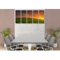 5-PIECE CANVAS PRINT TREE ON THE MEADOW - PICTURES OF NATURE AND LANDSCAPE - PICTURES