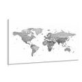 PICTURE WORLD MAP IN BLACK & WHITE COLORS - PICTURES OF MAPS{% if kategorie.adresa_nazvy[0] != zbozi.kategorie.nazev %} - PICTURES{% endif %}
