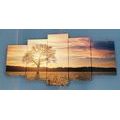 5-PIECE CANVAS PRINT LONELY TREE - PICTURES OF TREES AND LEAVES - PICTURES