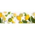 CANVAS PRINT BLEND OF CITRUS FRUITS - PICTURES OF FOOD AND DRINKS - PICTURES