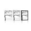 POSTER MODERN BLACK AND WHITE TREE ON AN ABSTRACT BACKGROUND - BLACK AND WHITE - POSTERS
