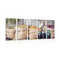 5-PIECE CANVAS PRINT MEDICINAL HERBS - PICTURES OF FOOD AND DRINKS - PICTURES