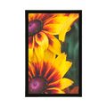 POSTER ATTRAKTIVE ZWEIFARBIGE BLUMEN - BLUMEN - POSTER