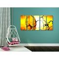 5-PIECE CANVAS PRINT ETHNO FLOWER - PICTURES FLOWERS - PICTURES