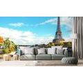 WALL MURAL BEAUTIFUL PANORAMA OF PARIS - WALLPAPERS CITIES - WALLPAPERS