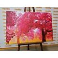 CANVAS PRINT ENCHANTING BLOOMING CHERRY TREES - PICTURES OF NATURE AND LANDSCAPE - PICTURES