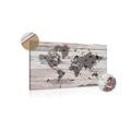 DECORATIVE PINBOARD MAP ON A WOODEN BASE - PICTURES ON CORK - PICTURES
