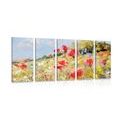 5-PIECE CANVAS PRINT PAINTED POPPIES IN A MEADOW - PICTURES FLOWERS - PICTURES