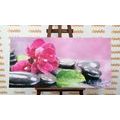 CANVAS PRINT ORCHID WITH A HINT OF RELAXATION - PICTURES FENG SHUI - PICTURES