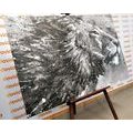 CANVAS PRINT KING OF ANIMALS IN BLACK AND WHITE WATERCOLOR - BLACK AND WHITE PICTURES - PICTURES