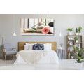 CANVAS PRINT MEDITATION AND WELLNESS STILL LIFE - PICTURES FENG SHUI - PICTURES