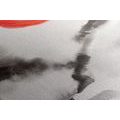 CANVAS PRINT JAPANESE PAINTING - PICTURES OF NATURE AND LANDSCAPE - PICTURES