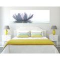 CANVAS PRINT LOTUS FLOWER - PICTURES FLOWERS{% if product.category.pathNames[0] != product.category.name %} - PICTURES{% endif %}