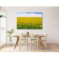 CANVAS PRINT YELLOW FIELD - PICTURES OF NATURE AND LANDSCAPE - PICTURES