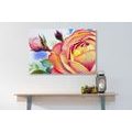 CANVAS PRINT ROSES IN SHADES OF PINK - PICTURES FLOWERS - PICTURES