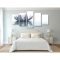 5-PIECE CANVAS PRINT LOTUS FLOWER - PICTURES FENG SHUI - PICTURES