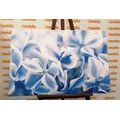 CANVAS PRINT HYDRANGEA FLOWERS IN A BLUE-WHITE SHADES - PICTURES FLOWERS - PICTURES