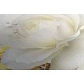 CANVAS PRINT LUXURIOUS ROSE WITH AN ABSTRACTION - PICTURES FLOWERS - PICTURES