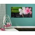 CANVAS PRINT WELLNESS STILL LIFE - PICTURES FENG SHUI{% if product.category.pathNames[0] != product.category.name %} - PICTURES{% endif %}