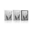 POSTER WHEAT FIELD IN BLACK AND WHITE - BLACK AND WHITE - POSTERS