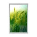 AFFICHE BRINS D'HERBE - NATURE - AFFICHES