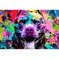 WANDBILD BUNTFARBIGE ILLUSTRATION DES HUNDES - POP-ART-BILDER - BILDER