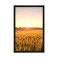POSTER SUNSET OVER THE FIELD - NATURE - POSTERS