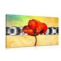 CANVAS PRINT ABSTRACT POPPY - ABSTRACT PICTURES{% if product.category.pathNames[0] != product.category.name %} - PICTURES{% endif %}
