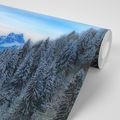 SELF ADHESIVE WALL MURAL FROZEN MOUNTAINS - SELF-ADHESIVE WALLPAPERS - WALLPAPERS
