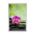 POSTER FENG SHUI STILL LIFE - FENG SHUI - POSTERS
