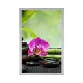 PLAKAT FENG SHUI MARTWA NATURA - FENG SHUI - PLAKATY