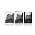 POSTER ENCHANTING MONSTERA LEAF IN BLACK AND WHITE - FLOWERS - POSTERS