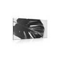 CANVAS PRINT MONSTERA LEAF IN BLACK AND WHITE - BLACK AND WHITE PICTURES{% if product.category.pathNames[0] != product.category.name %} - PICTURES{% endif %}