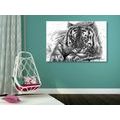 CANVAS PRINT ANIMAL PREDATOR IN BLACK AND WHITE - BLACK AND WHITE PICTURES - PICTURES