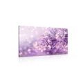 CANVAS PRINT PURPLE LILAC FLOWER - PICTURES FLOWERS - PICTURES