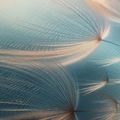 WANDBILD ZARTE WINDGEFLECHTE - BILDER - 🔥 TOTALAUSVERKAUF