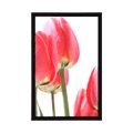 AFFICHE CHAMP DE TULIPES ROUGES - FLEURS - AFFICHES