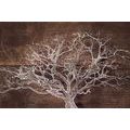 WALLPAPER TREE CROWN ON A WOODEN BACKGROUND - WALLPAPERS NATURE - WALLPAPERS