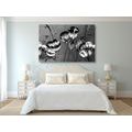 CANVAS PRINT POPPIES IN AN ETHNO TOUCH IN BLACK AND WHITE - BLACK AND WHITE PICTURES - PICTURES