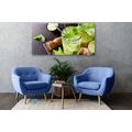 CANVAS PRINT DELICIOUS MOJITO - PICTURES OF FOOD AND DRINKS - PICTURES