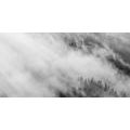 CANVAS PRINT BLACK AND WHITE MISTY FOREST - BLACK AND WHITE PICTURES - PICTURES