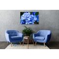 CANVAS PRINT WILD BLUE FLOWERS - PICTURES FLOWERS - PICTURES